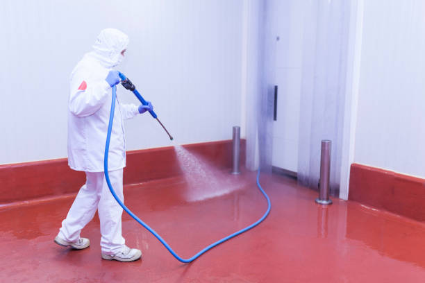 Best Roof Washing  in Minier, IL